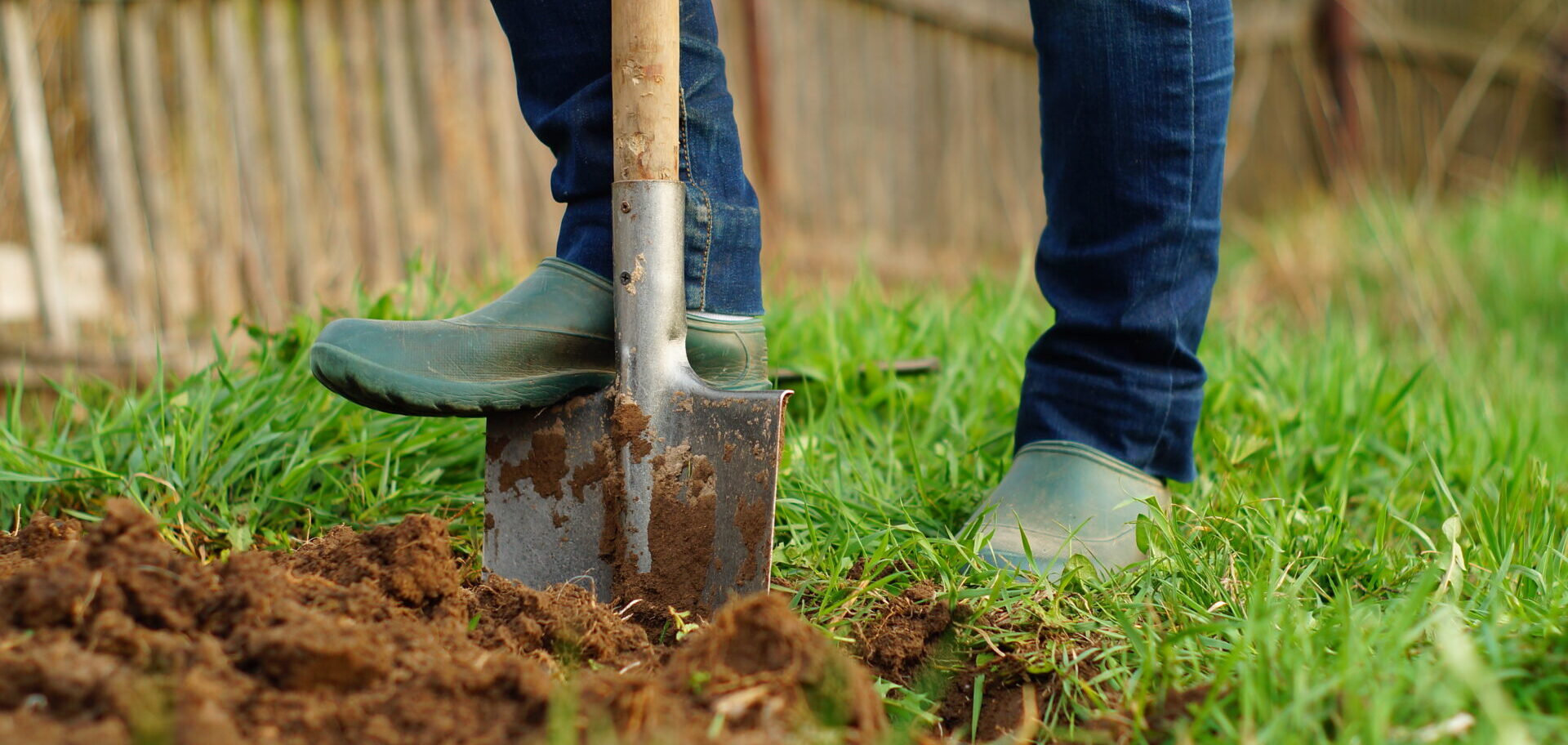 Student Scholarship Opportunities