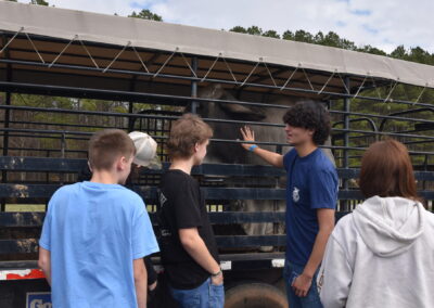 Area FFA Chapters Attend Annual FFA Day at Carroll EMC