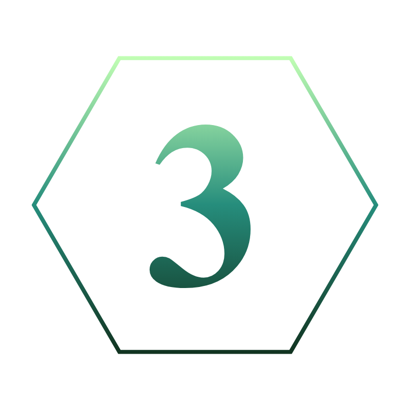 3