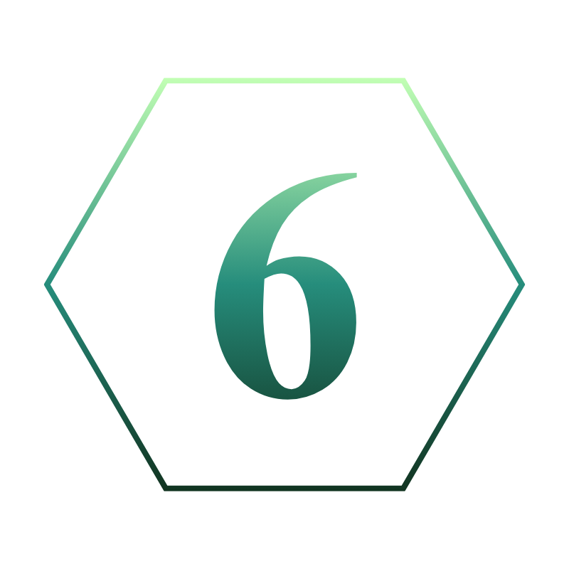 6